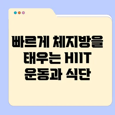 빠르게 체지방을 태우는 HIIT 운동과 식단