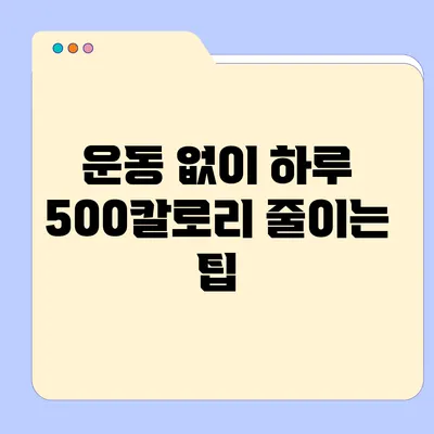 운동 없이 하루 500칼로리 줄이는 팁