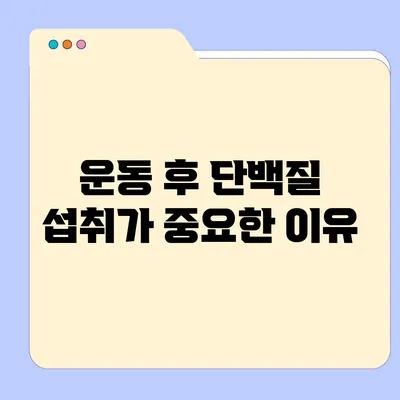 운동 후 단백질 섭취가 중요한 이유