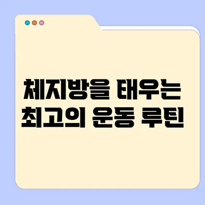 체지방을 태우는 최고의 운동 루틴