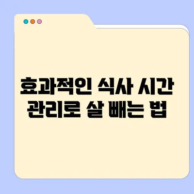 효과적인 식사 시간 관리로 살 빼는 법